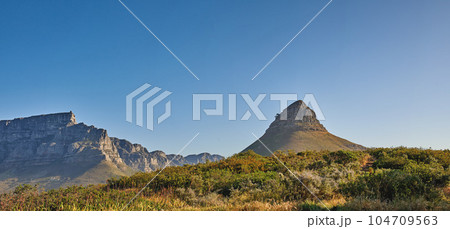 Copy space, landscape view and mountains of Lions Head and Table Mountain in serene, relaxing nature reserve. Blue sky with copyspace in Cape Town, South Africa of tranquil, local countryside scenery Copy space, landscape view and mountains of Lions Head and Table Mountain in serene, relaxing nature reserve. Blue sky with copyspace in Cape Town, South Africa of tranquil, local countryside scenery 104709563