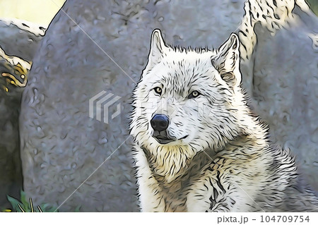 パステル調　”シンリンオオカミ”　イラストイメージ 104709754