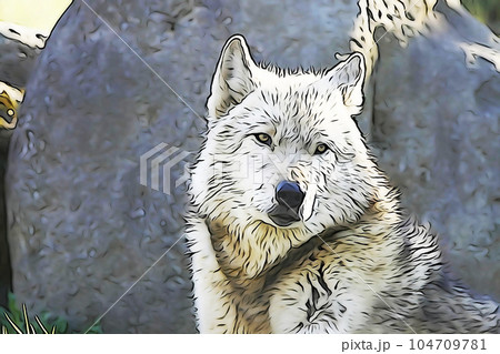 パステル調　”シンリンオオカミ”　イラストイメージ 104709781