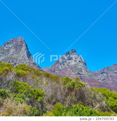 Famous mountain hiking destination with copy space, green forest trees and woods in Cape Town, South Africa. Landscape view of the Twelve Apostles Mountains with blue sky in a serene nature reserve 104709783