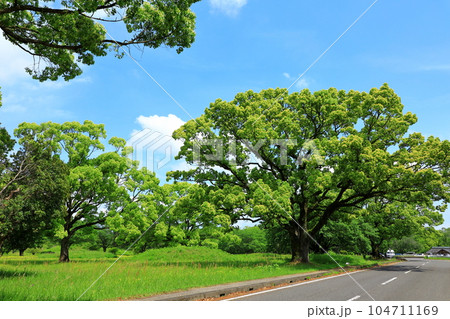 特別史跡公園 西都原古墳群 特別史跡公園 西都原古墳群 104711169