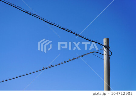 青空に伸びる電柱 青空に伸びる電柱 104712903