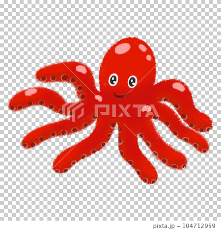 Octopus squid in the sea Octopus squid in the sea 104712959