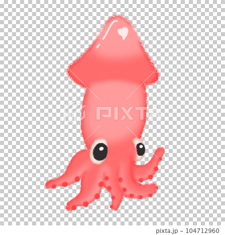 Octopus squid in the sea Octopus squid in the sea 104712960