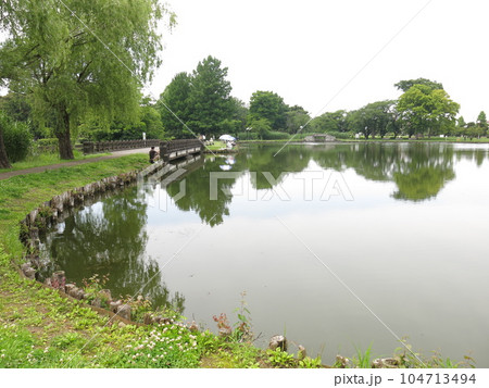 行田市の水城公園 104713494
