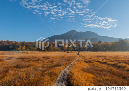 燃える秋 紅葉に色づく尾瀬 燃える秋 紅葉に色づく尾瀬 104713569