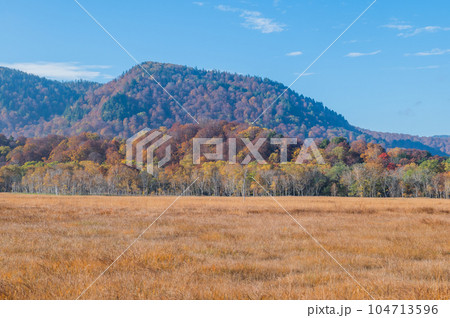 燃える秋 紅葉に色づく尾瀬 燃える秋 紅葉に色づく尾瀬 104713596
