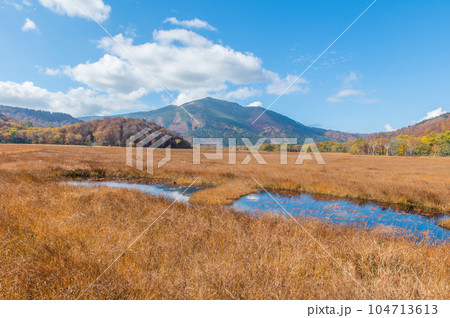 燃える秋 紅葉に色づく尾瀬 燃える秋 紅葉に色づく尾瀬 104713613