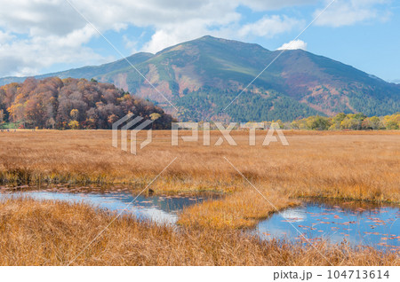 燃える秋 紅葉に色づく尾瀬 燃える秋 紅葉に色づく尾瀬 104713614