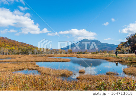 燃える秋　紅葉に色づく尾瀬 104713619