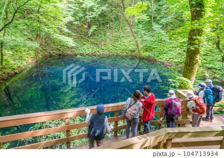 青池(十二湖)ブナの森が育む青い池 観光客 青池(十二湖)ブナの森が育む青い池 観光客 104713934