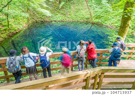 青池(十二湖)ブナの森が育む青い池 観光客 青池(十二湖)ブナの森が育む青い池 観光客 104713937
