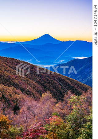 （山梨県）櫛形山の紅葉と富士山　日の出前 104714694