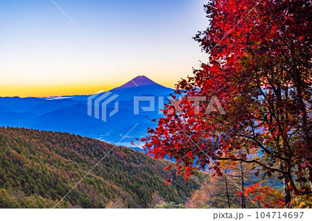 (山梨県)櫛形山の紅葉と富士山 日の出前 (山梨県)櫛形山の紅葉と富士山 日の出前 104714697