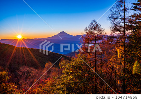 （山梨県）紅葉の櫛形山から望む富士山　日の出 104714868