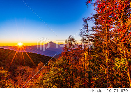 （山梨県）紅葉の櫛形山から望む富士山　日の出 104714870