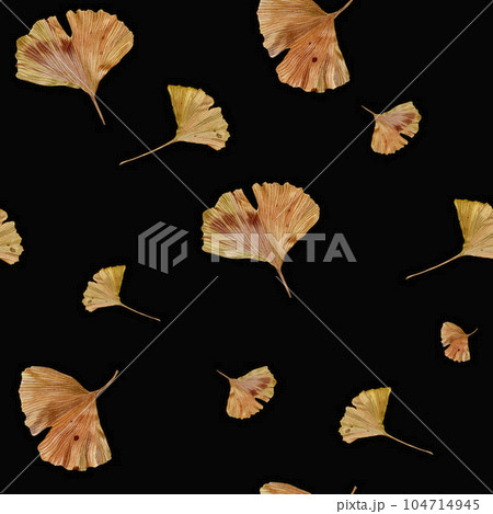 Autumn pattern of ginkgo biloba leaves. Watercolor illustration on a black background. Handmade botanical illustration. Ginko gold for design, textiles, packaging. 104714945