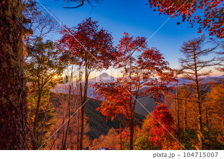 (山梨県)櫛形山の紅葉の抜こうに富士山 (山梨県)櫛形山の紅葉の抜こうに富士山 104715007