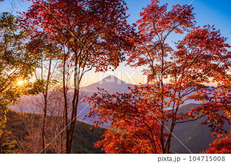 (山梨県)櫛形山の紅葉の抜こうに富士山 (山梨県)櫛形山の紅葉の抜こうに富士山 104715008