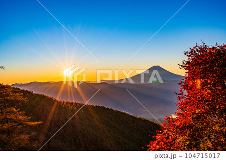 （山梨県）櫛形山の紅葉の抜こうに富士山 104715017