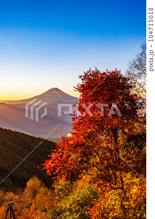 (山梨県)櫛形山の紅葉の抜こうに富士山 (山梨県)櫛形山の紅葉の抜こうに富士山 104715018