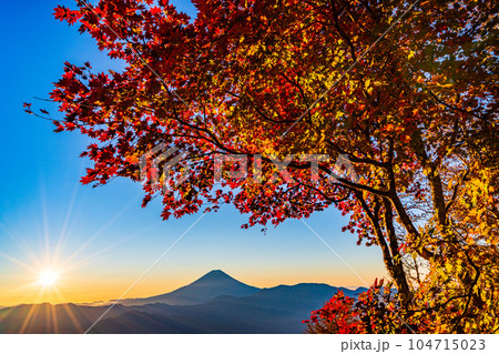 (山梨県)櫛形山の紅葉の抜こうに富士山 (山梨県)櫛形山の紅葉の抜こうに富士山 104715023
