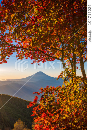 (山梨県)櫛形山の紅葉の抜こうに富士山 (山梨県)櫛形山の紅葉の抜こうに富士山 104715026