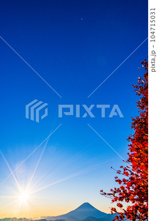 （山梨県）櫛形山の紅葉の抜こうに富士山 104715031