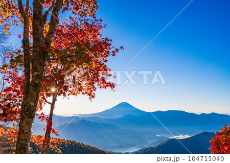 (山梨県)櫛形山の紅葉の抜こうに富士山 (山梨県)櫛形山の紅葉の抜こうに富士山 104715040