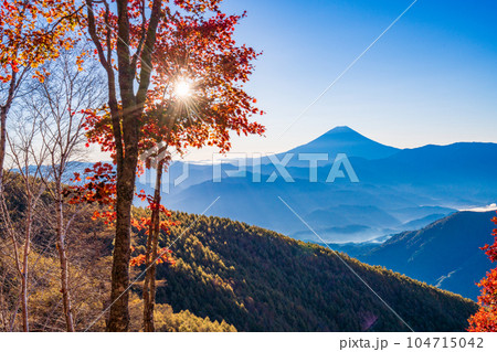 （山梨県）櫛形山の紅葉の抜こうに富士山 104715042