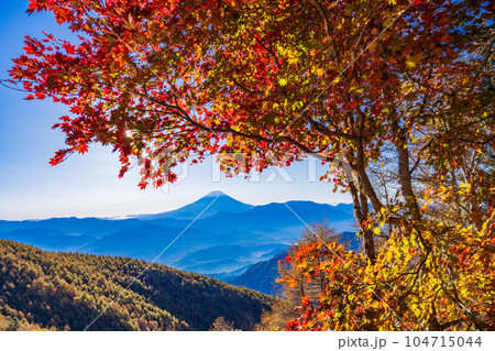 (山梨県)櫛形山の紅葉の抜こうに富士山 (山梨県)櫛形山の紅葉の抜こうに富士山 104715044