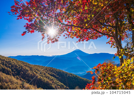 (山梨県)櫛形山の紅葉の抜こうに富士山 (山梨県)櫛形山の紅葉の抜こうに富士山 104715045