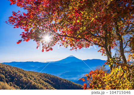 （山梨県）櫛形山の紅葉の抜こうに富士山 104715046