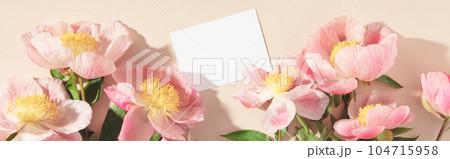 Peonies on pink background with copy space. Abstract natural floral frame layout with text space. Romantic feminine composition. Wedding invitation. International Women day, Mother Day concept 104715958