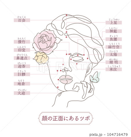 顔の正面にあるツボの線画イラスト 104716479