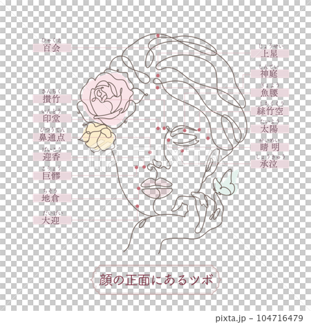 顔の正面にあるツボの線画イラスト 104716479