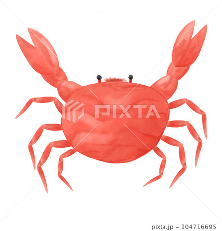 steamed crab on the beach hand draw 104716695