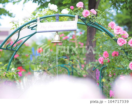 北海道のローズガーデン ロイズガーデン 104717339