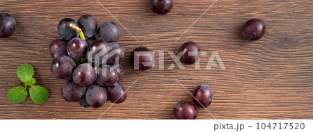 ぶどう 葡萄 ブドウ 104717520
