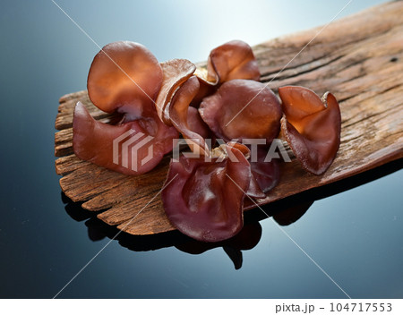 生の木耳 生の木耳 104717553