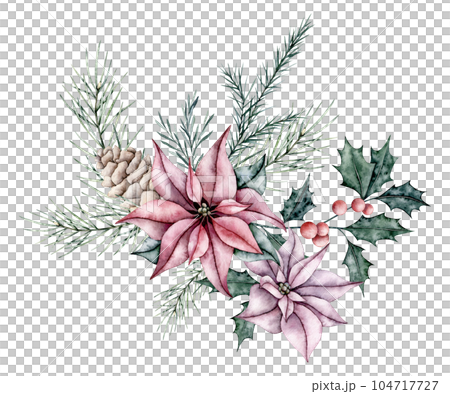 Christmas bouquet of red poinsettia flower, pine cone, ilex,and emerald spruce branch, evergreen tree, fir, cedar. Botanical Winter flowers. Hand painted watercolor illustration for wedding invitation 104717727