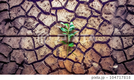 green plant on cracked bush, global warming of the planet, ecological disaster, made with Generative AI 104717818