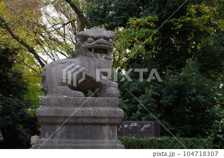 神社の狛犬 神社の狛犬 104718307