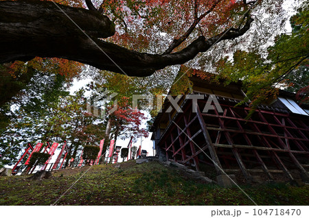 王地山まけきらい稲荷の紅葉 104718470