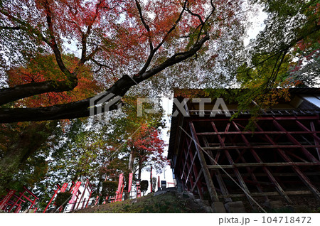 王地山まけきらい稲荷の紅葉 王地山まけきらい稲荷の紅葉 104718472