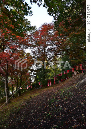 王地山まけきらい稲荷の紅葉 王地山まけきらい稲荷の紅葉 104718476
