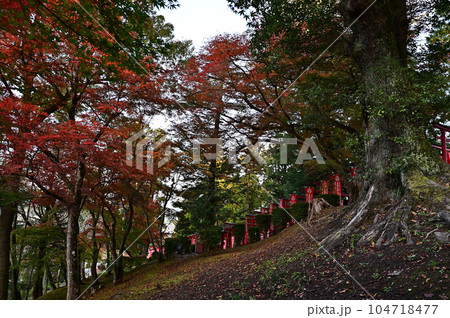 王地山まけきらい稲荷の紅葉 王地山まけきらい稲荷の紅葉 104718477