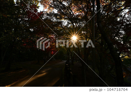 王地山まけきらい稲荷の紅葉 104718704