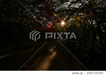 王地山まけきらい稲荷の紅葉 104718705