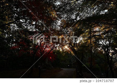 王地山まけきらい稲荷の紅葉 王地山まけきらい稲荷の紅葉 104718707